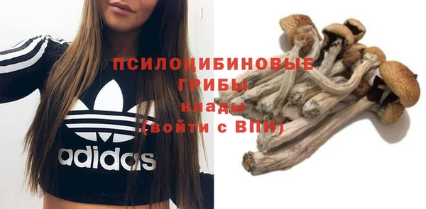 гидропоника Майский