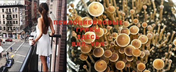 марки nbome Магадан